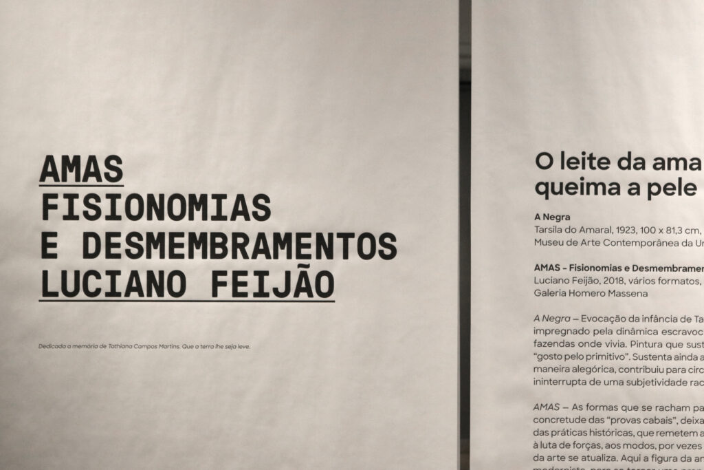 Amas — Fisionomias e Desmembramentos