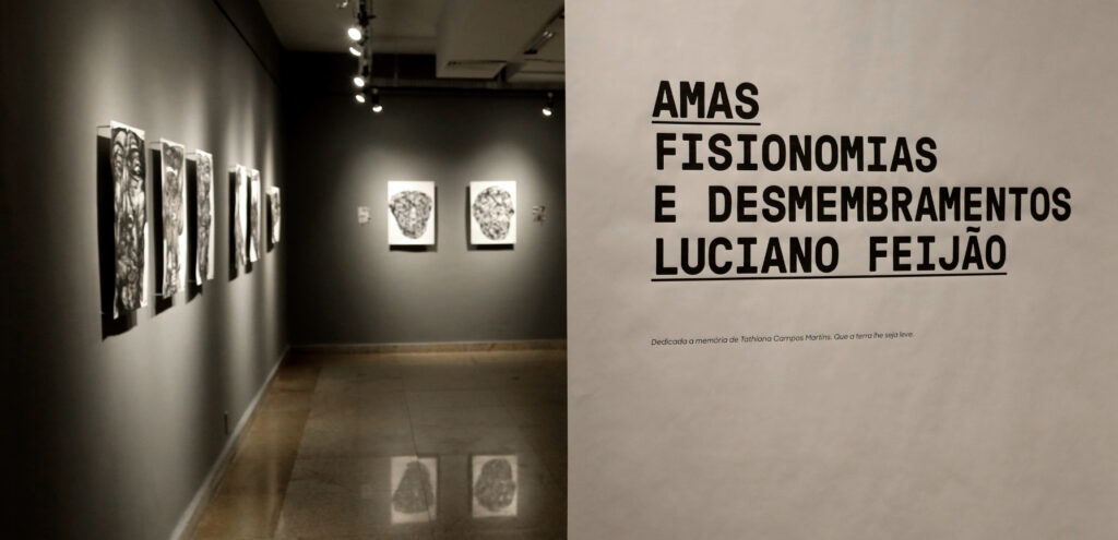 Amas — Fisionomias e Desmembramentos